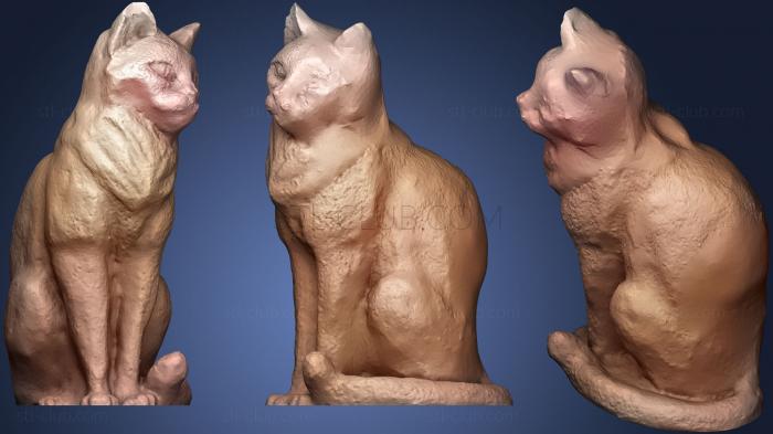 3D model canned Cat (STL)